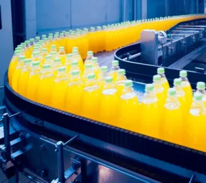 Material handling conveyors for the food and beverage industry. Jpg e1741252531652