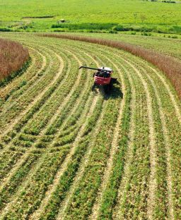 Industries We Serve 8 Seed & agro commodities