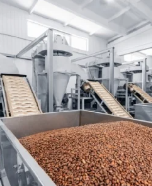 Industries We Serve 14 Seeds