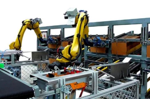 Automatic Bag-In-Bag Machine 4 Case packaging solutions