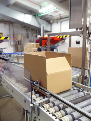 case packaging machines_2