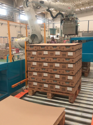 hybrid palletizer_4